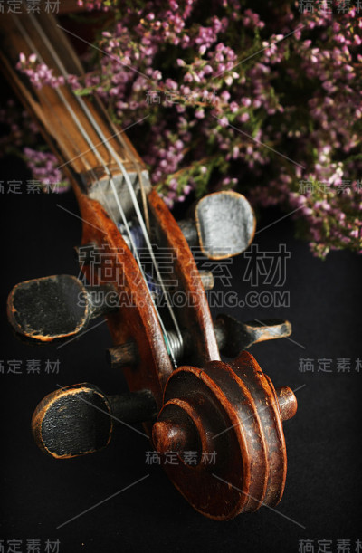 漂亮的小提琴