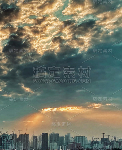 的阳光