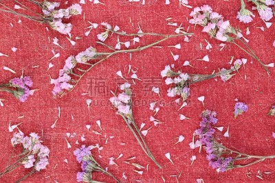 红色织物上美丽的花朵。