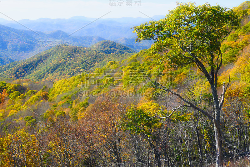 阿巴拉契亚山脉的秋天，沿着蓝岭公园大道观赏