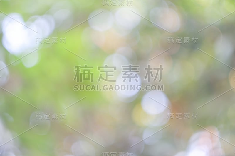 阳光明媚的抽象绿色自然背景，以散景光模糊公园、自然、花园、春夏季节