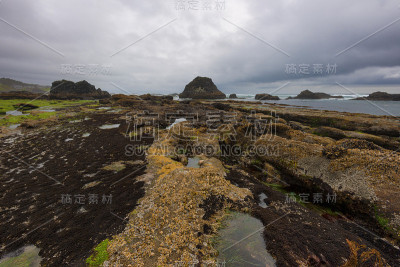 俄勒冈海岸的海豹岩海滩