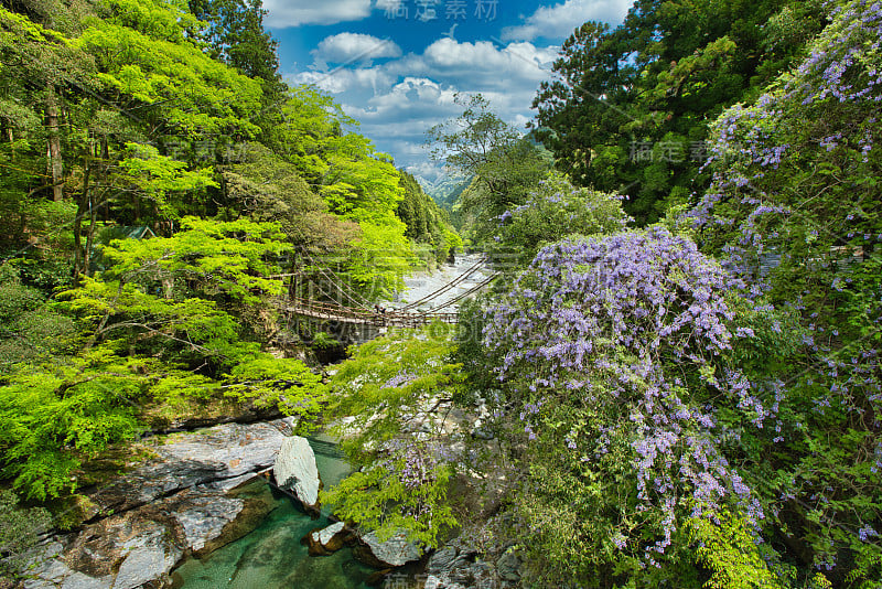 日本未开发的德岛宫地区