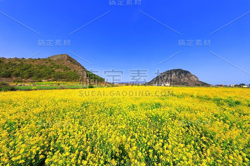 三邦，海滩，海岸，海滩，海岸，海岸，海草，龙头海岸，