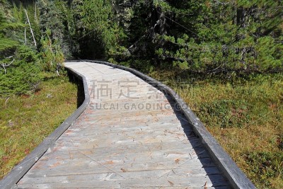 华盛顿山上的木板路