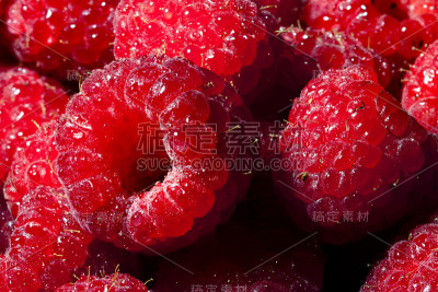 群树莓
