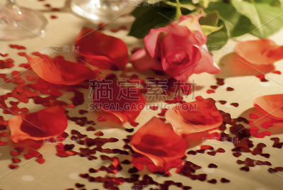 玫瑰