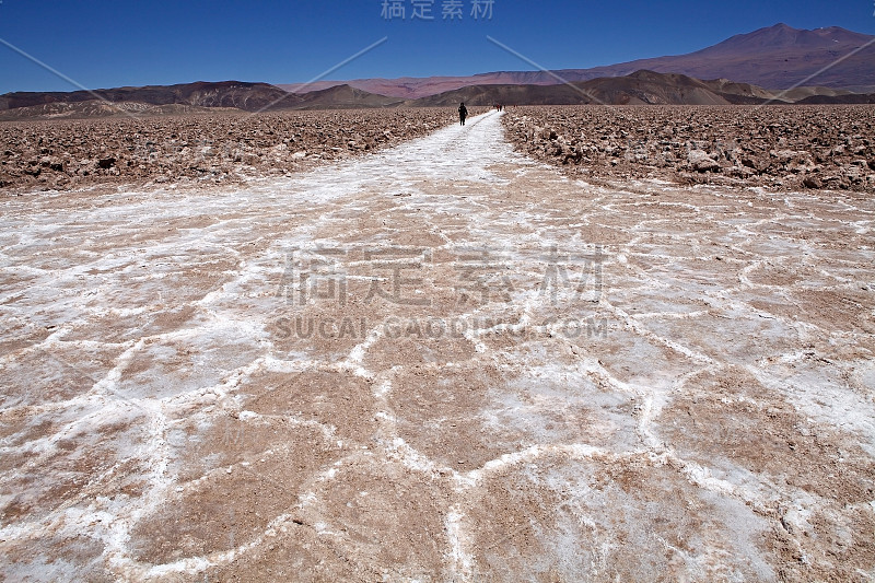 阿根廷阿塔卡马Puna de Atacama，人们正沿着安托法拉Salar of Antofalla