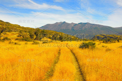 草地的秋景。