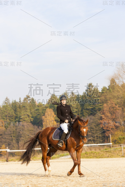 马术在马背上