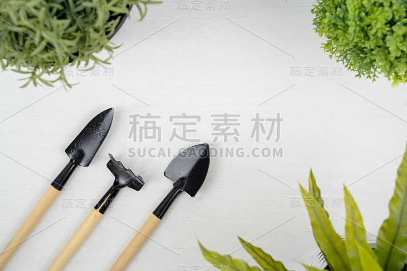 白色背景上的园艺工具和小型人造树。园林工程的概念。