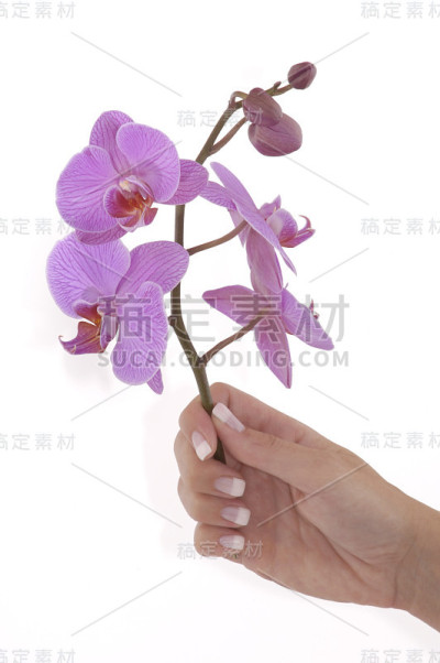 修指甲