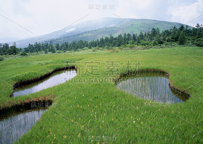 Mt. zarumori