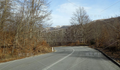 在冬天穿过森林的路