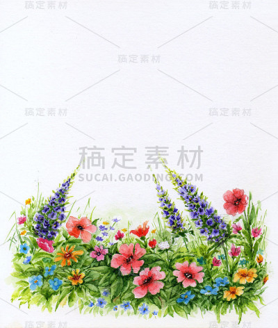 白色背景上有野花的草坪。水彩花卉背景