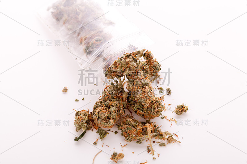 近距离观察桌子上的干大麻叶子