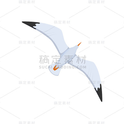 Flight of seagulls in sky, flight over the water