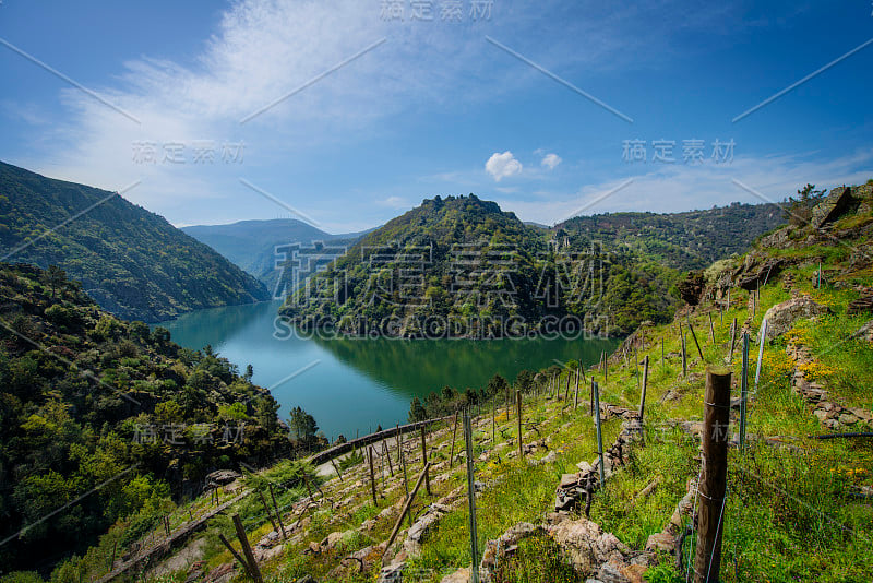 从Ribeira Sacra葡萄园的视角来看