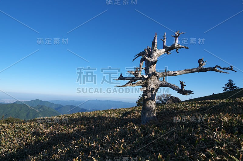 日本爱媛县龟森山