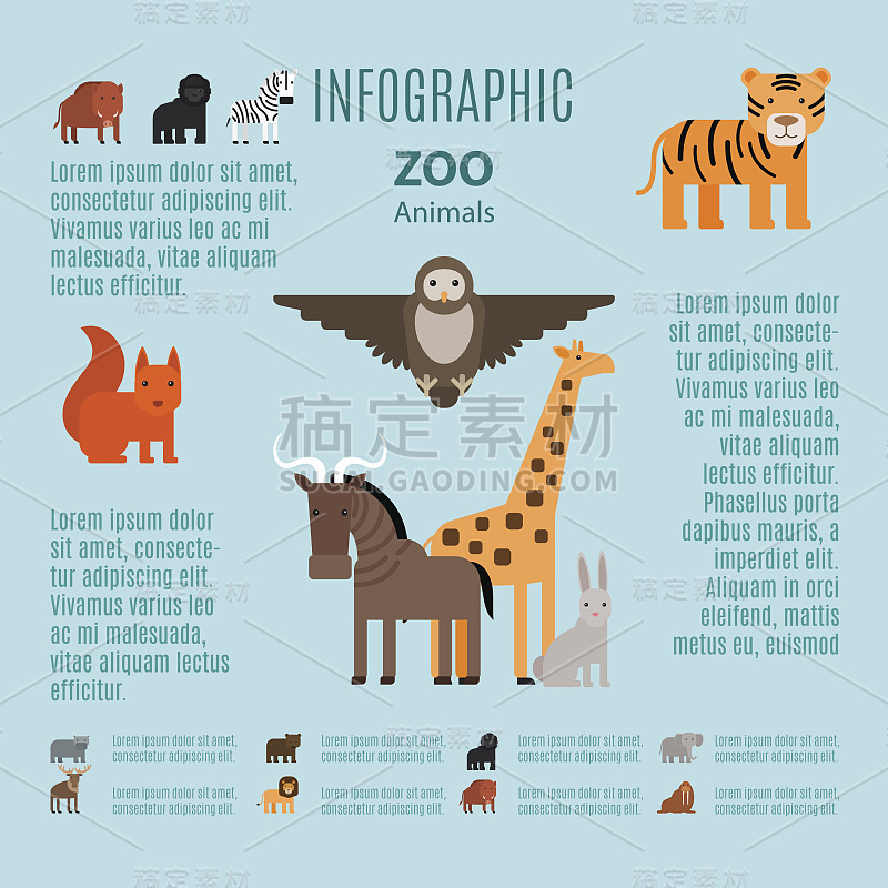 动物园动物矢量信息图