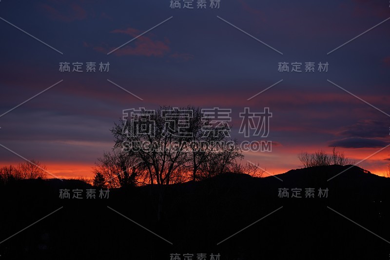 戏剧性的日落与树的剪影在布拉格，瑞士。