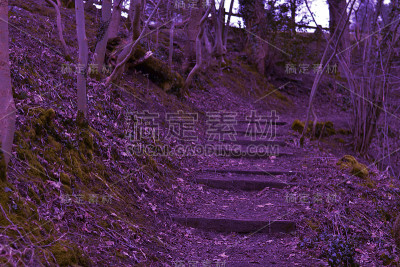 紫色的徒步旅行的步骤