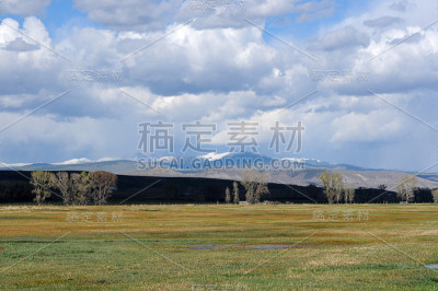 春谷