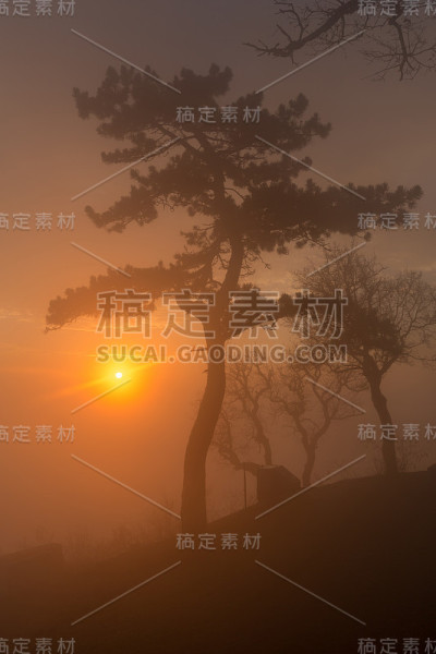 美丽的日落光在雾天