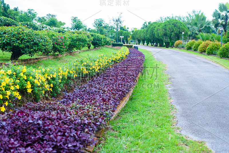 公园里有花园和路