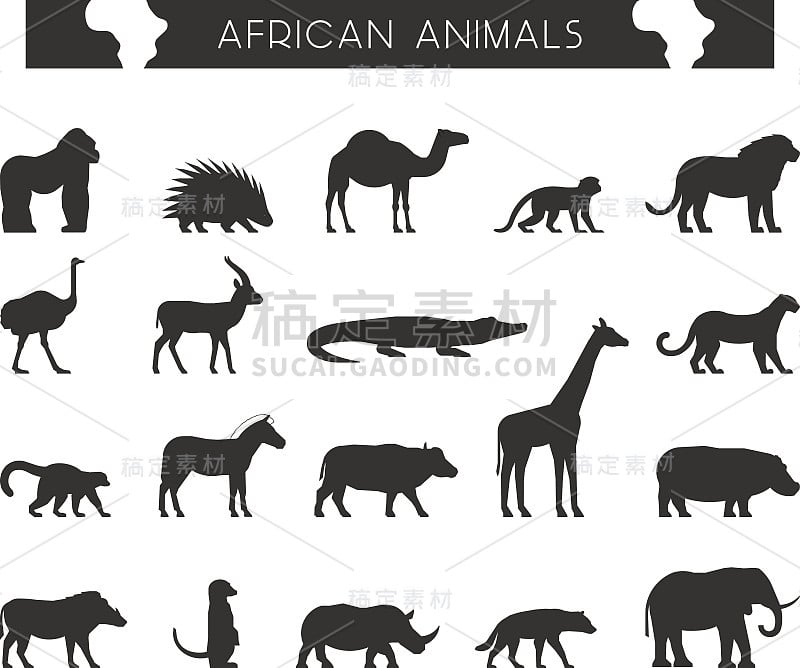 矢量黑色轮廓的非洲动物。