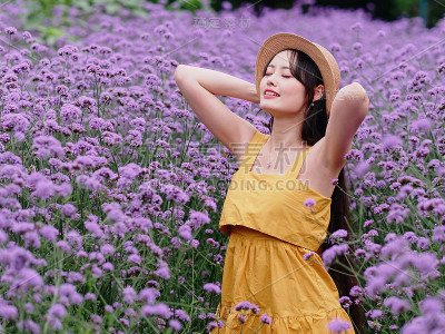 美丽的女人穿着黄色的衣服和草帽摆姿势在紫色的马鞭草花田，迷人的中国女孩与黑色的长发享受她的闲暇时间在