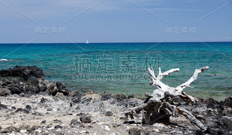 夏威夷大岛美丽的怀亚里海滩上的自然装饰的木制细节