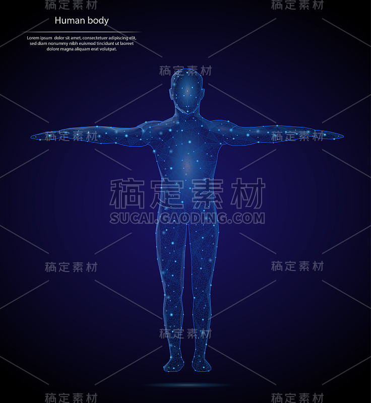 由点、线和行星、恒星和宇宙的形状组成的人体的抽象形象。低多边形矢量背景。解剖学