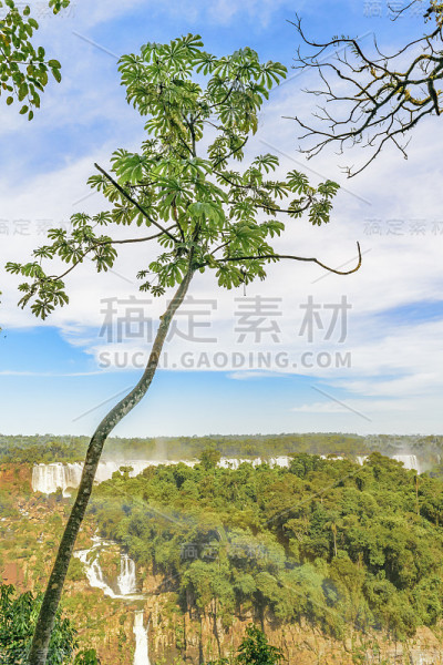 鸟瞰图伊瓜苏瀑布