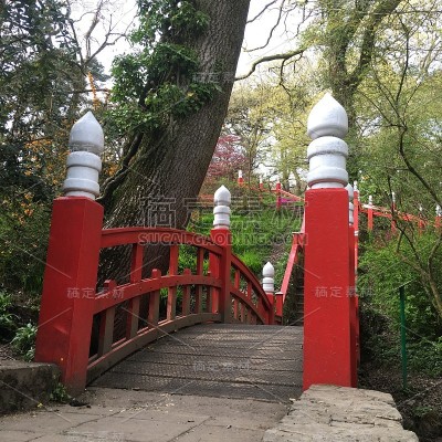 森林公园的观赏桥