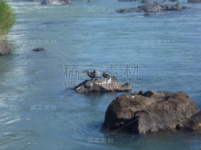 阿根廷旅游
