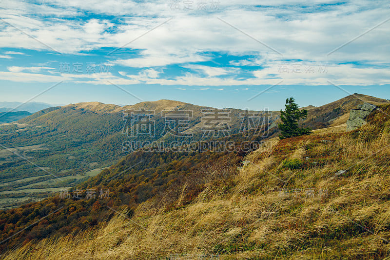 风景如画的山脊荒野高原环境与孤独的树在顶部和多云的喜怒无常的天气时间的秋天季节