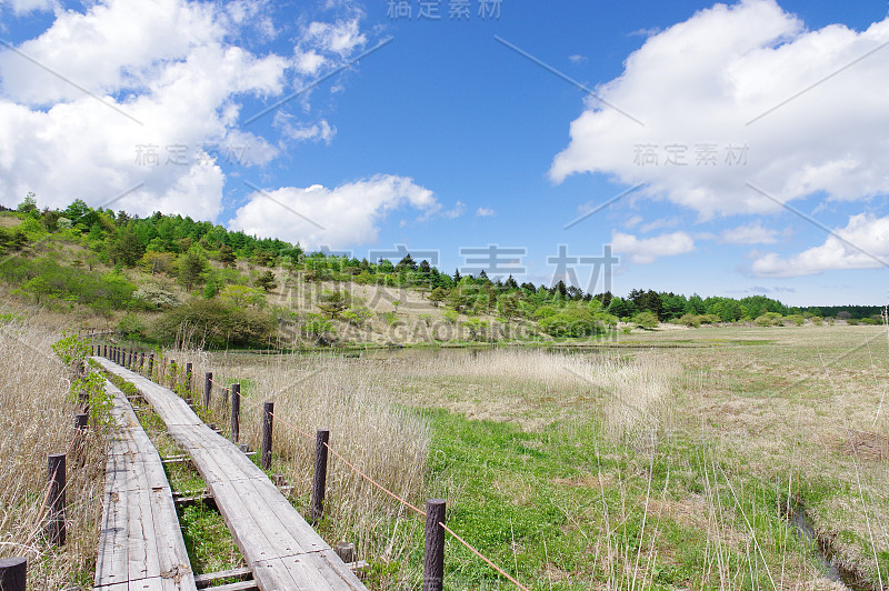 山野县