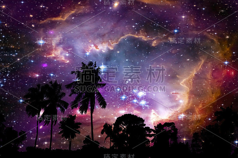 宇宙中的星云和星系在椰子树和夜空的剪影上