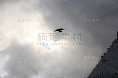 科尼亚的清真寺