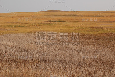 荒地国家公园