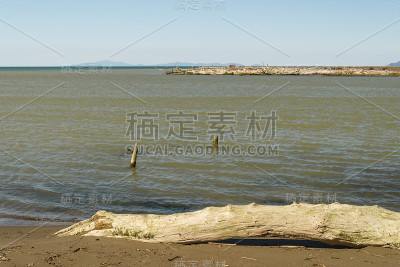 近海岸沼泽地公园海滩