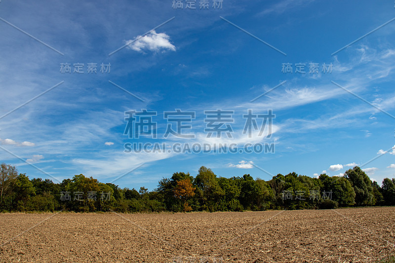 乡村、田野、草地、树木、天空、景观、农业