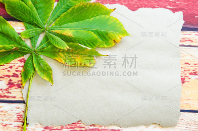 秋天的概念与栗叶