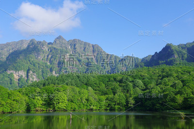 初夏的鹿神池
