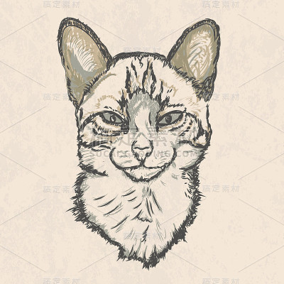 手工矢量素描的猫的头与大耳朵在一个垃圾背景