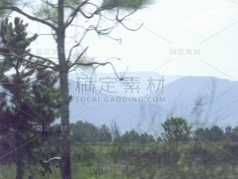 埃斯特拉达多马，南大岛里约热内卢北部海岸