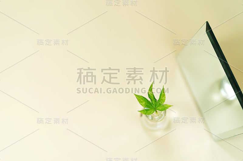 近景绿色大麻叶和镜子与美丽的散景在柔和的颜色背景。