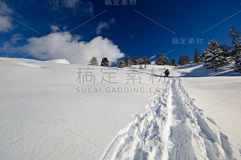 在粉状雪中穿雪鞋