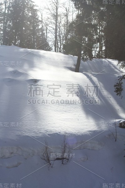 黄绿色的山